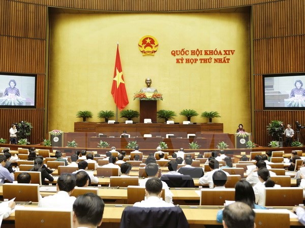 Voters express trust in the 14th National Assembly - ảnh 1